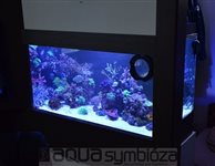 Morské akvárium 300L, rozmery 120x50x50L, prerábka interiéru + filtrácie